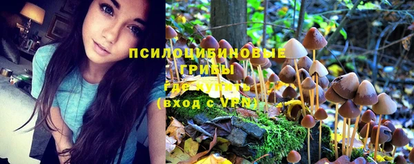 дурь Навашино