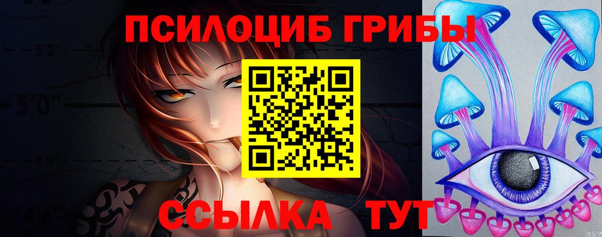 купить закладку  Галлюциногенные грибы мухоморы  Вход с VPN  Георгиевск  Галлюциногенные грибы Cubensis 