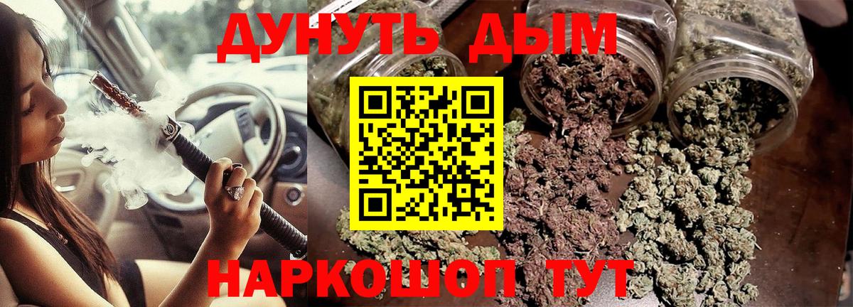 Конопля гибрид  Георгиевск  Марихуана марихуана  Конопля сатива 